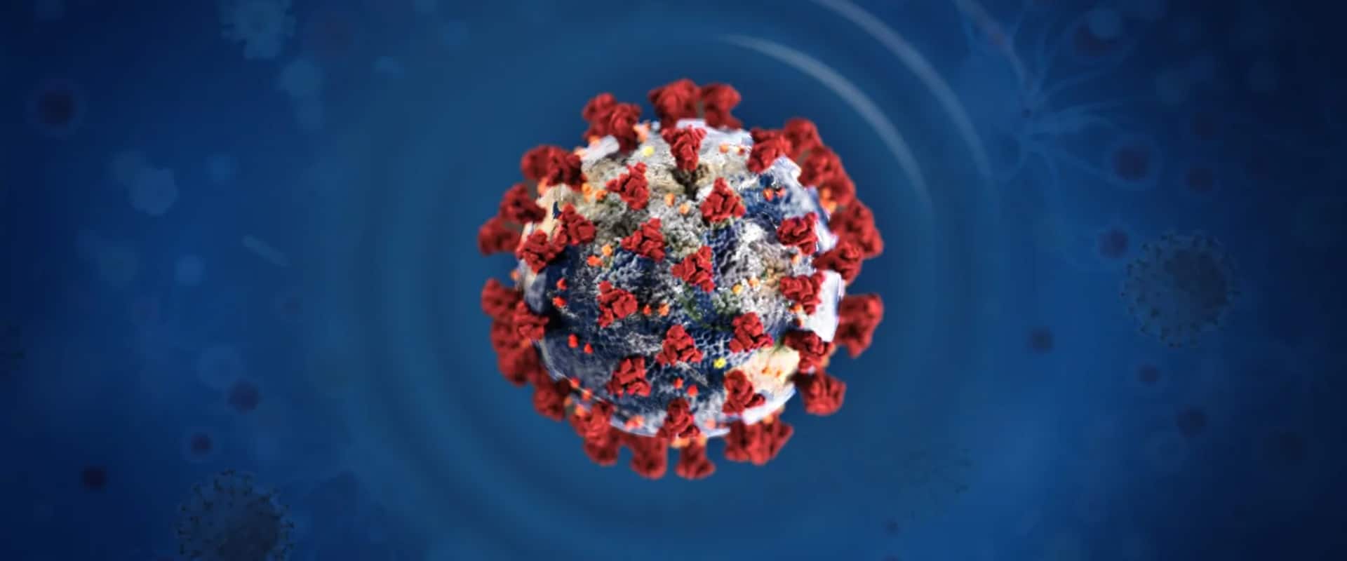 Tájékoztató az új koronavírus járványos terjedésének megelőzése érdekében